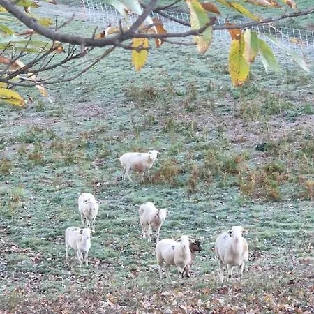 Accords Pyrenees - Vue Pyrenees - Piscine Et - Classe 4 Etoiles בית נופש Estadens